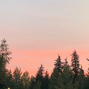 Meet your Posher, Sydney